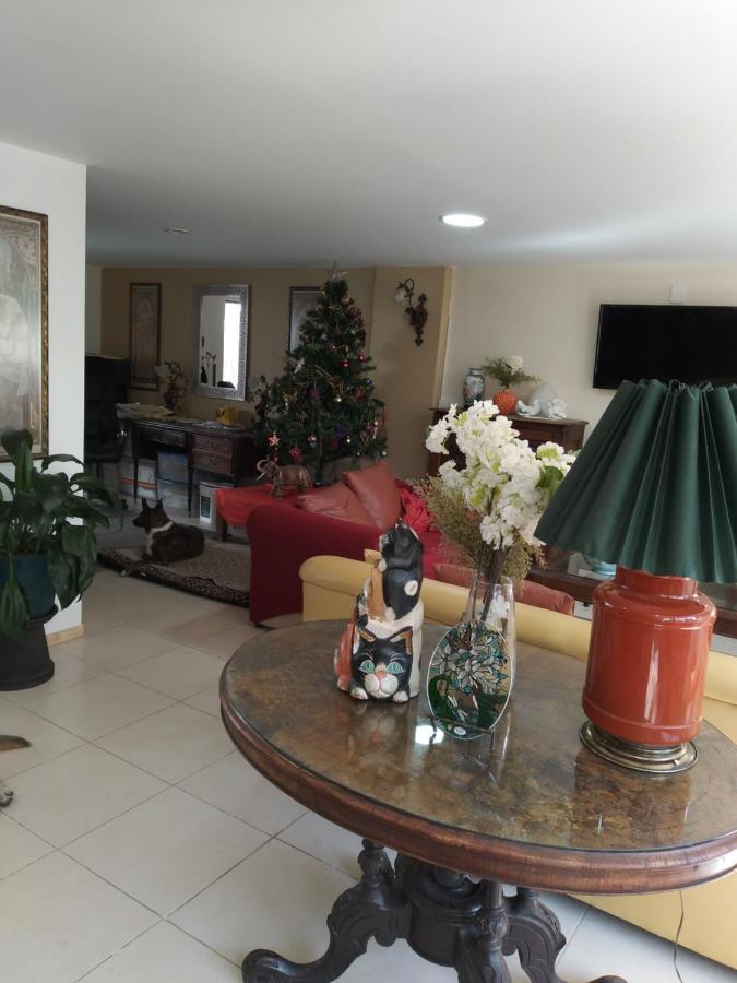 Charming Sunny Bedroom Overlooking Beautiful Amsterdam Avenue In Best Condesa Area Μεξικό Εξωτερικό φωτογραφία