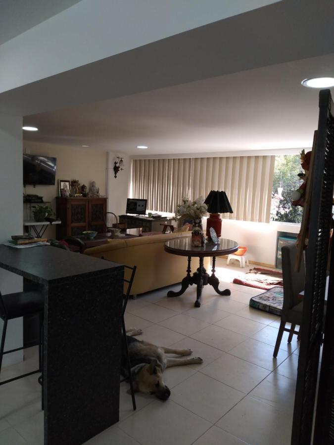 Charming Sunny Bedroom Overlooking Beautiful Amsterdam Avenue In Best Condesa Area Μεξικό Εξωτερικό φωτογραφία