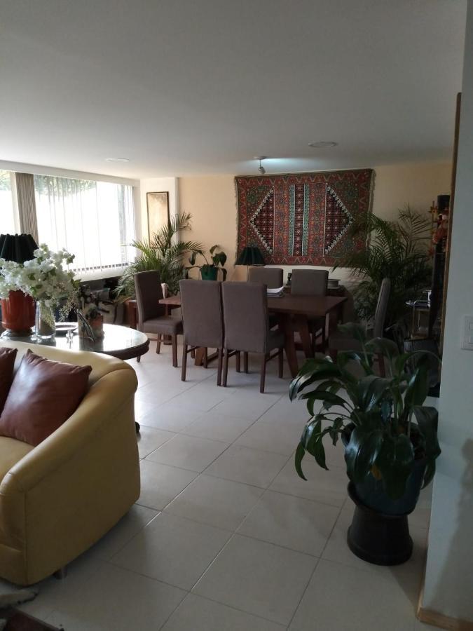 Charming Sunny Bedroom Overlooking Beautiful Amsterdam Avenue In Best Condesa Area Μεξικό Εξωτερικό φωτογραφία