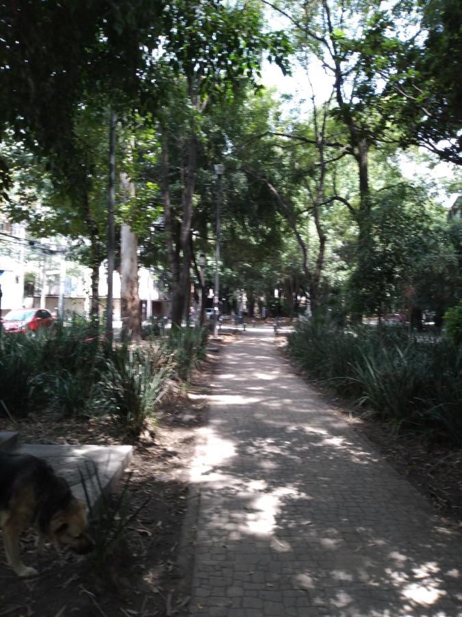 Charming Sunny Bedroom Overlooking Beautiful Amsterdam Avenue In Best Condesa Area Μεξικό Εξωτερικό φωτογραφία