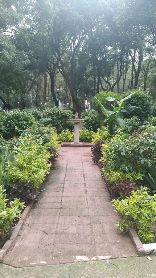 Charming Sunny Bedroom Overlooking Beautiful Amsterdam Avenue In Best Condesa Area Μεξικό Εξωτερικό φωτογραφία